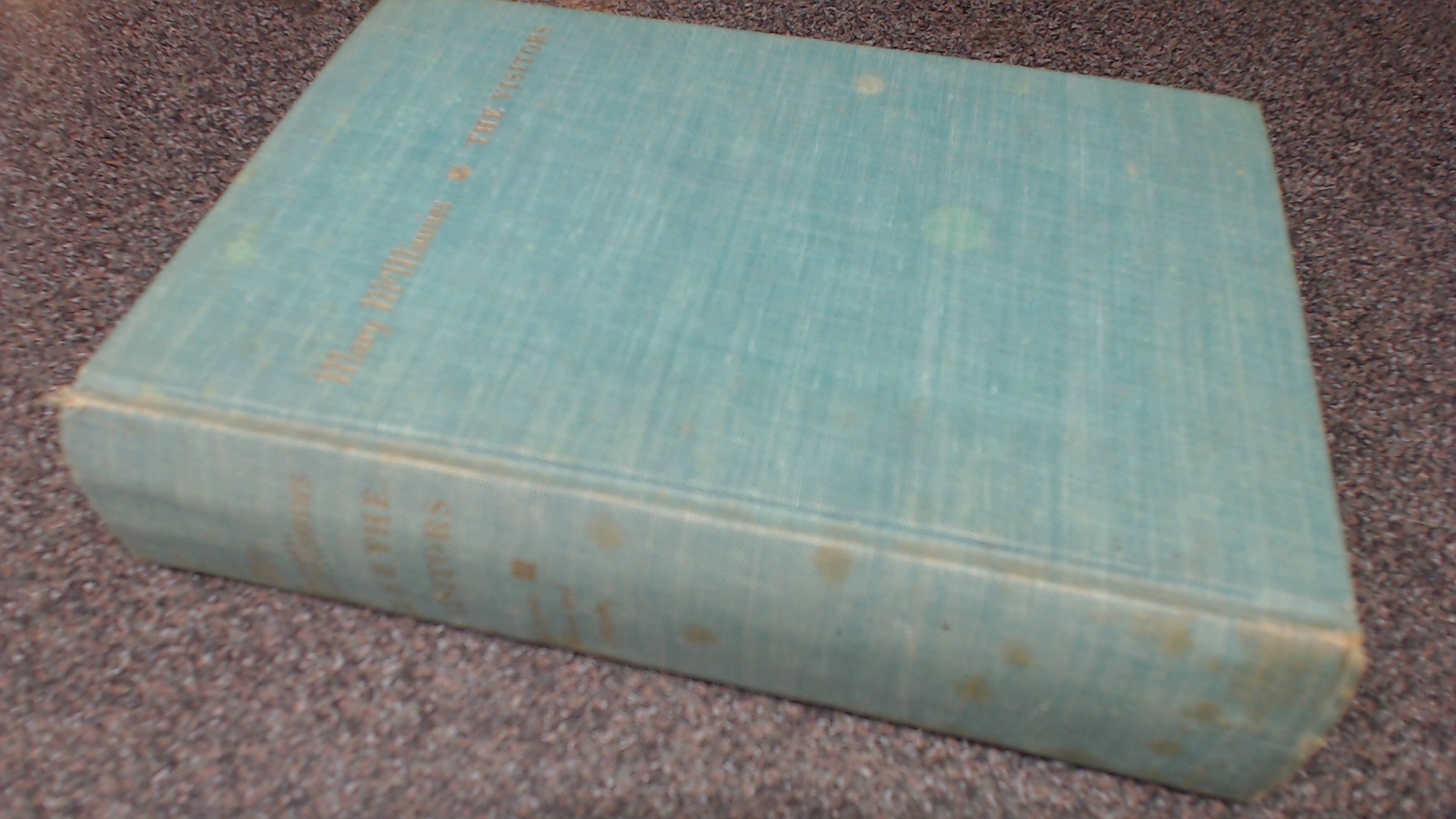 The Visitors, Mary McMinnies, Harcourt, Brace and Co., 1958, Hard