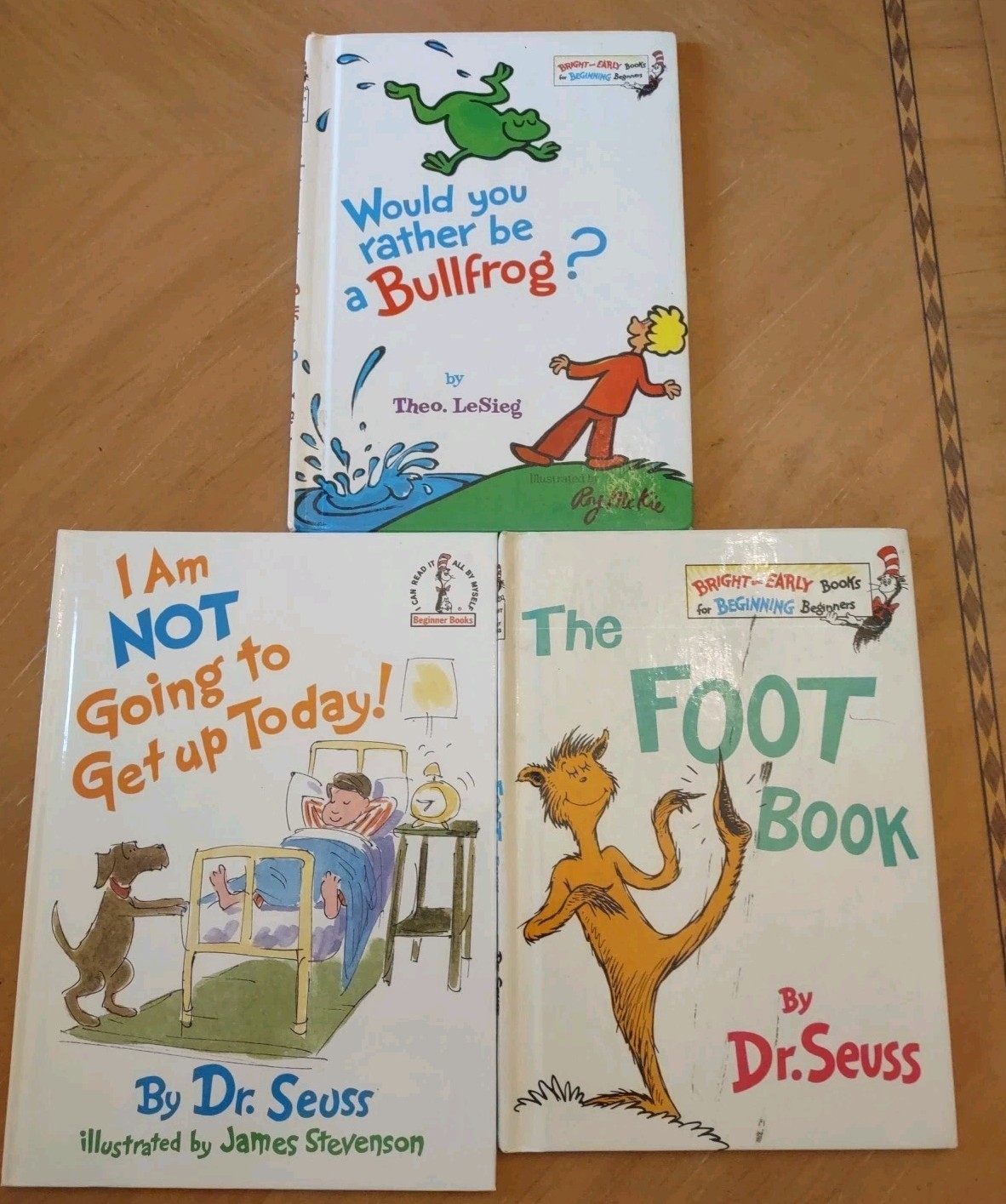 Lot of 10 Dr Suess Books Bullfrog, Foot, Get Up, ABC, Go Dog, Green Eggs, Mother