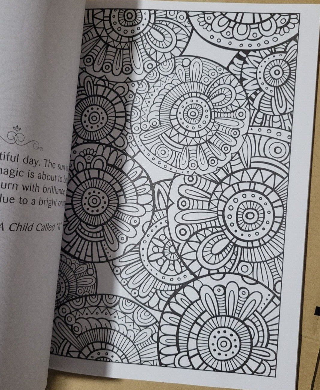 SPLASH OF COLOR – Vol. 27 – Creative Expressions Adult Coloring Book