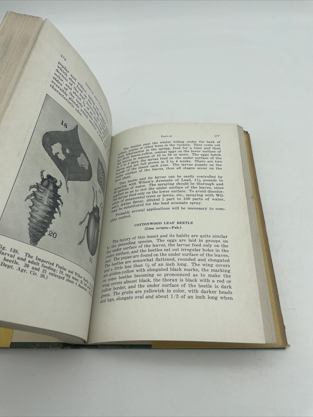 Insects And Their Control By Andrew Wilson 2nd Printing 1931 Horticulture Nature