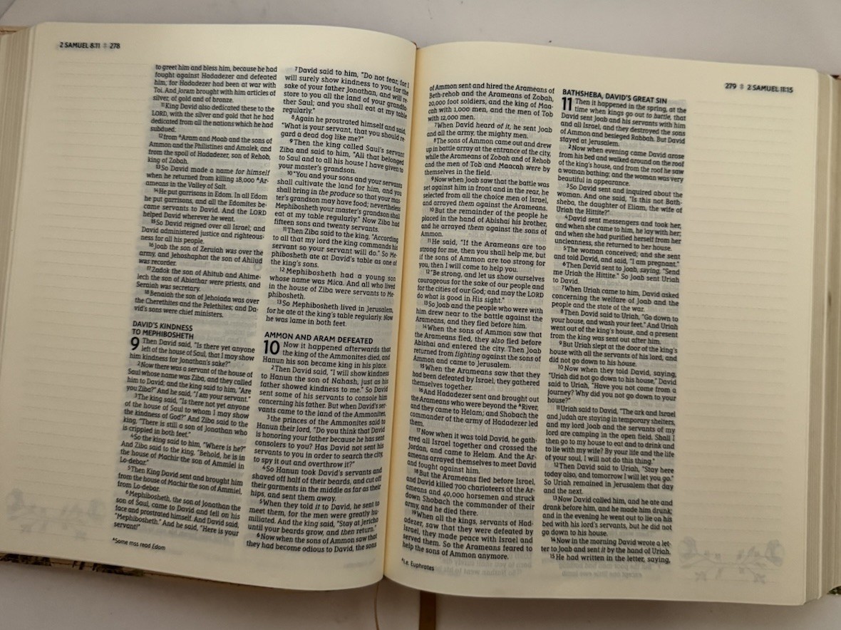 NASB Artisan Collection Bible Floral Leathersoft 1995 Text Zondervan 2021
