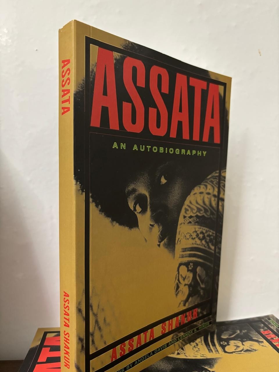 Assata: An Autobiography by Assata Shakur Paperback New USA STOCK