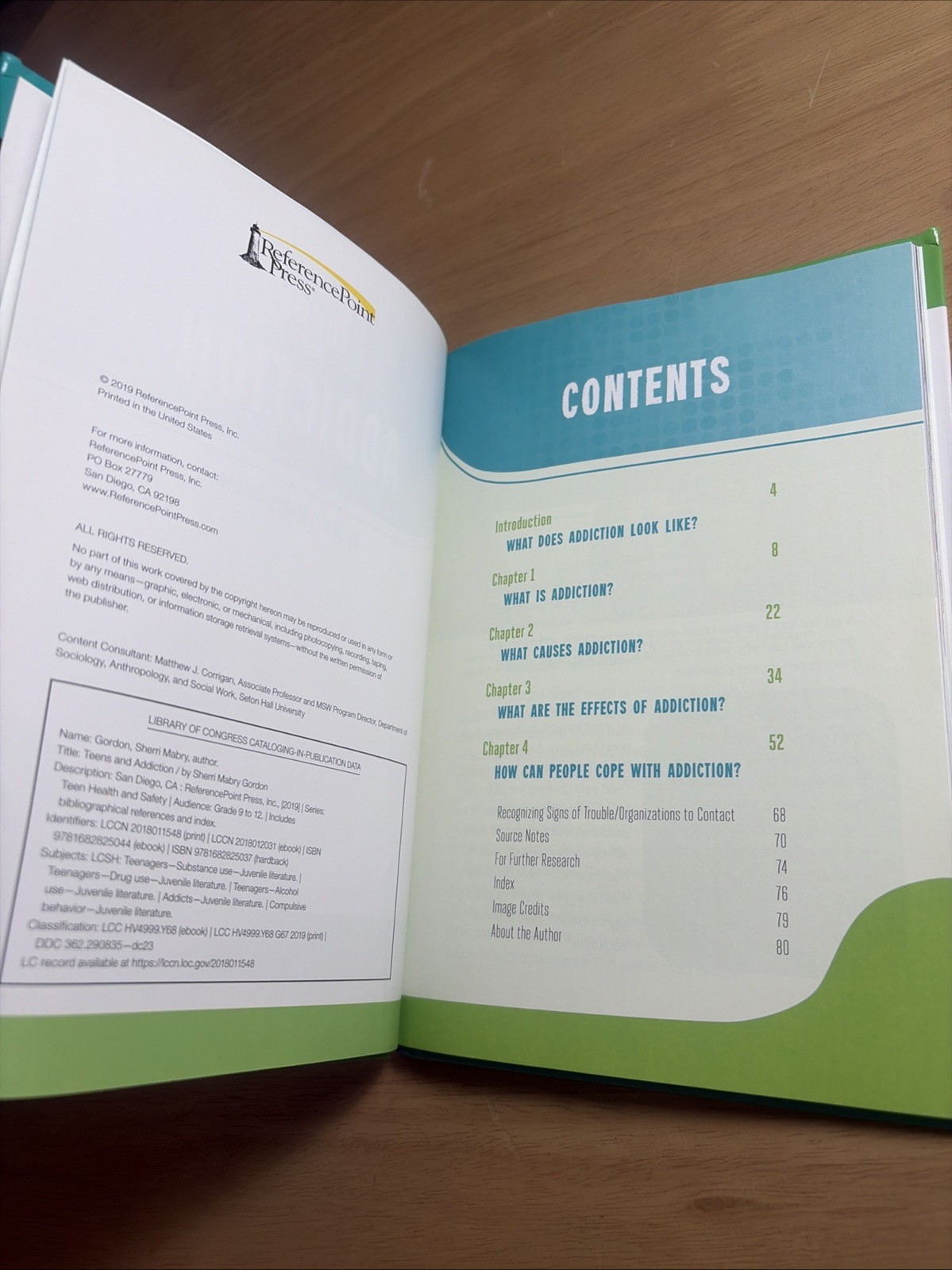 Teens and Addiction Sherri Mabry Gordon 2019 Teen Drug Abuse Health ExLibrary