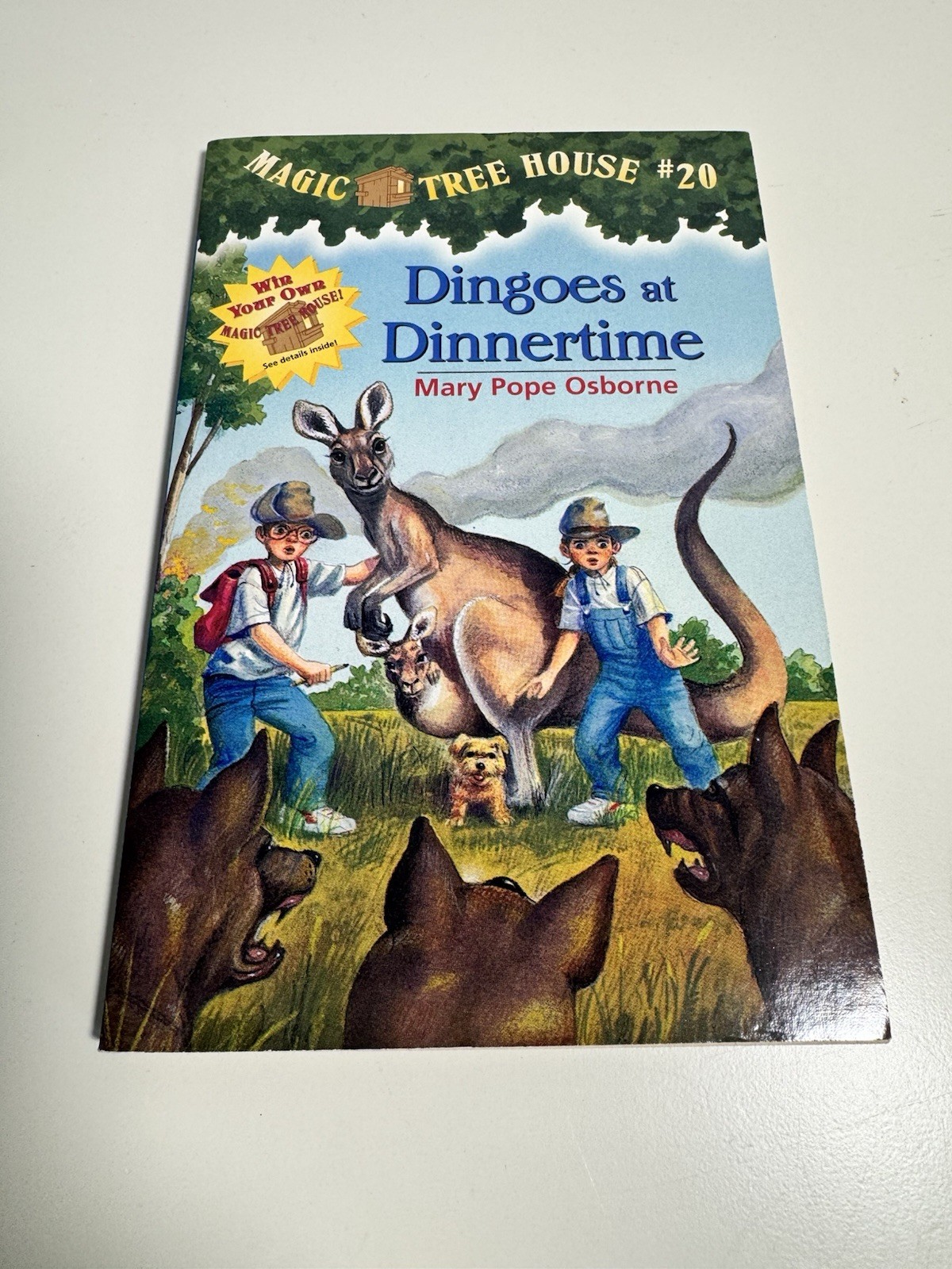Dingoes at Dinnertime by Mary Pope Osborne (2000, Trade Paperback)