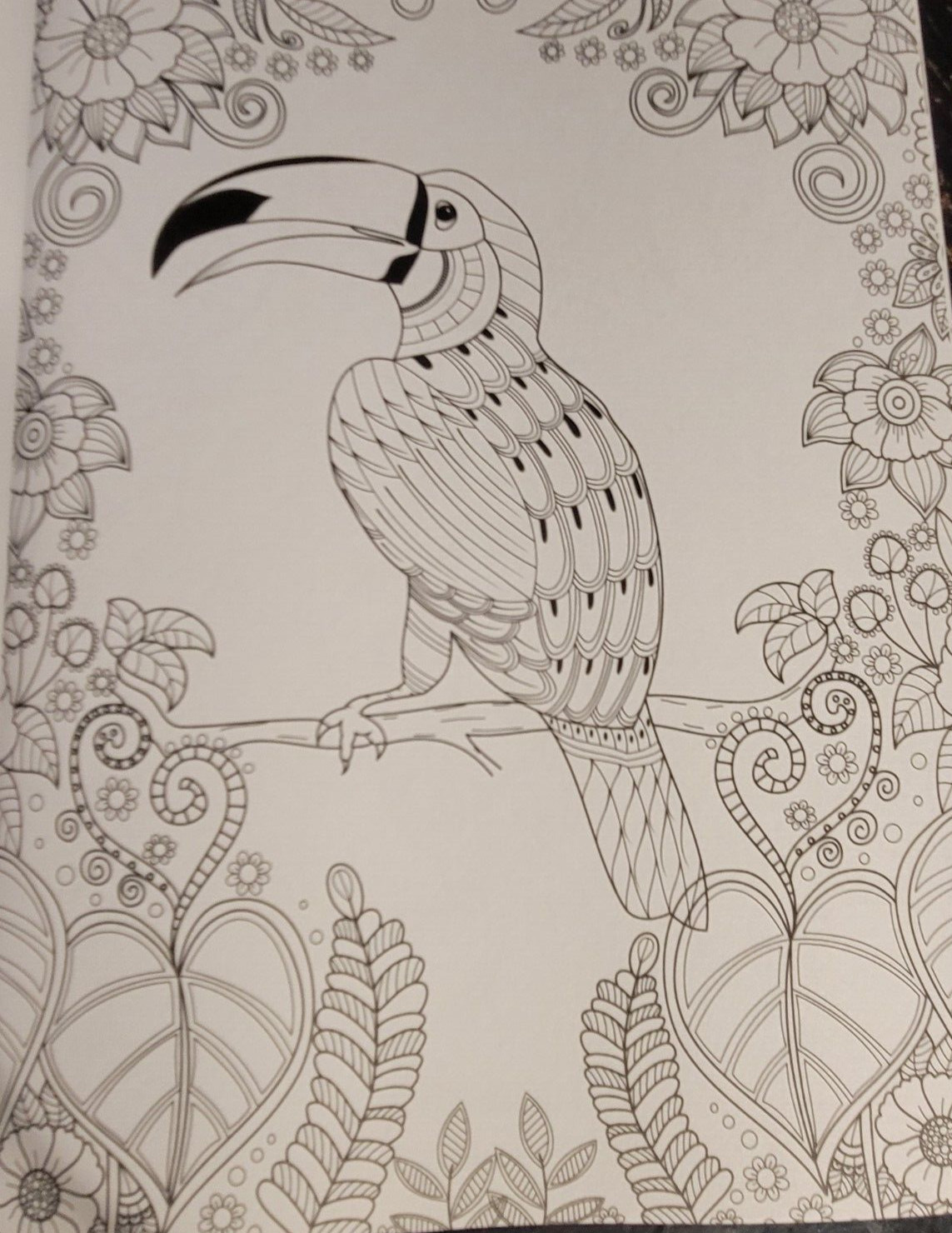 COLORS OF THE WILD Vol. 20 Adult Coloring Book With 47 Prints Ready To Frame!