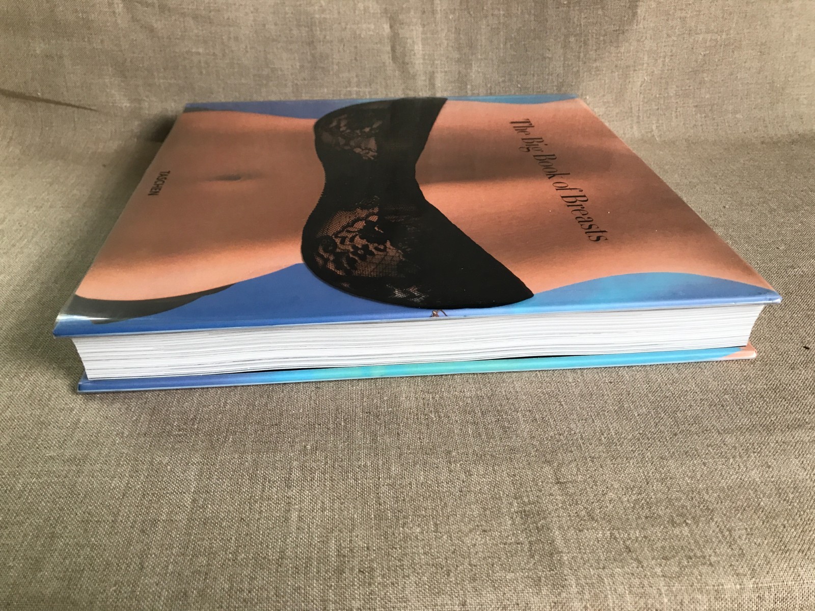The Big Book of Breasts by Dian Hanson (Hardcover, 2022)