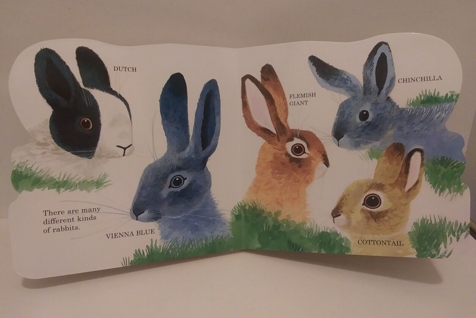 Richard Scarry’s Bunnies: A Board Book for Babies and Toddlers A Golden Book