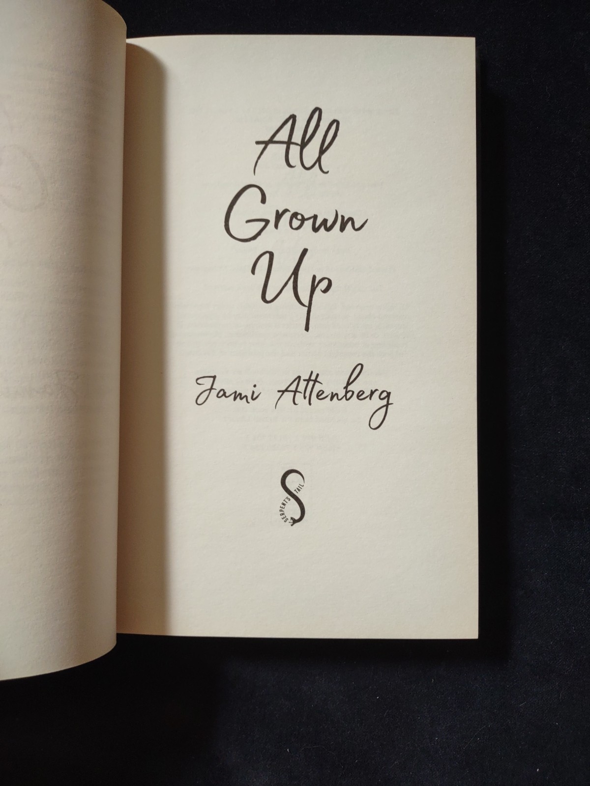 All Grown Up Hardcover Book Jami Attenberg Fiction Humor Single New York City NY