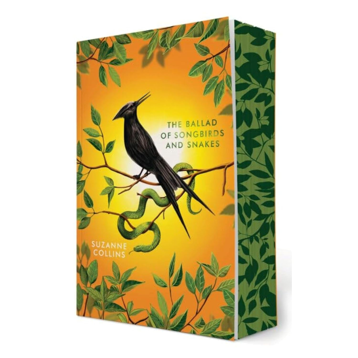 Hunger Games 4 Books Box Set Deluxe Edition with Stenciled Edges (Hunger Games)