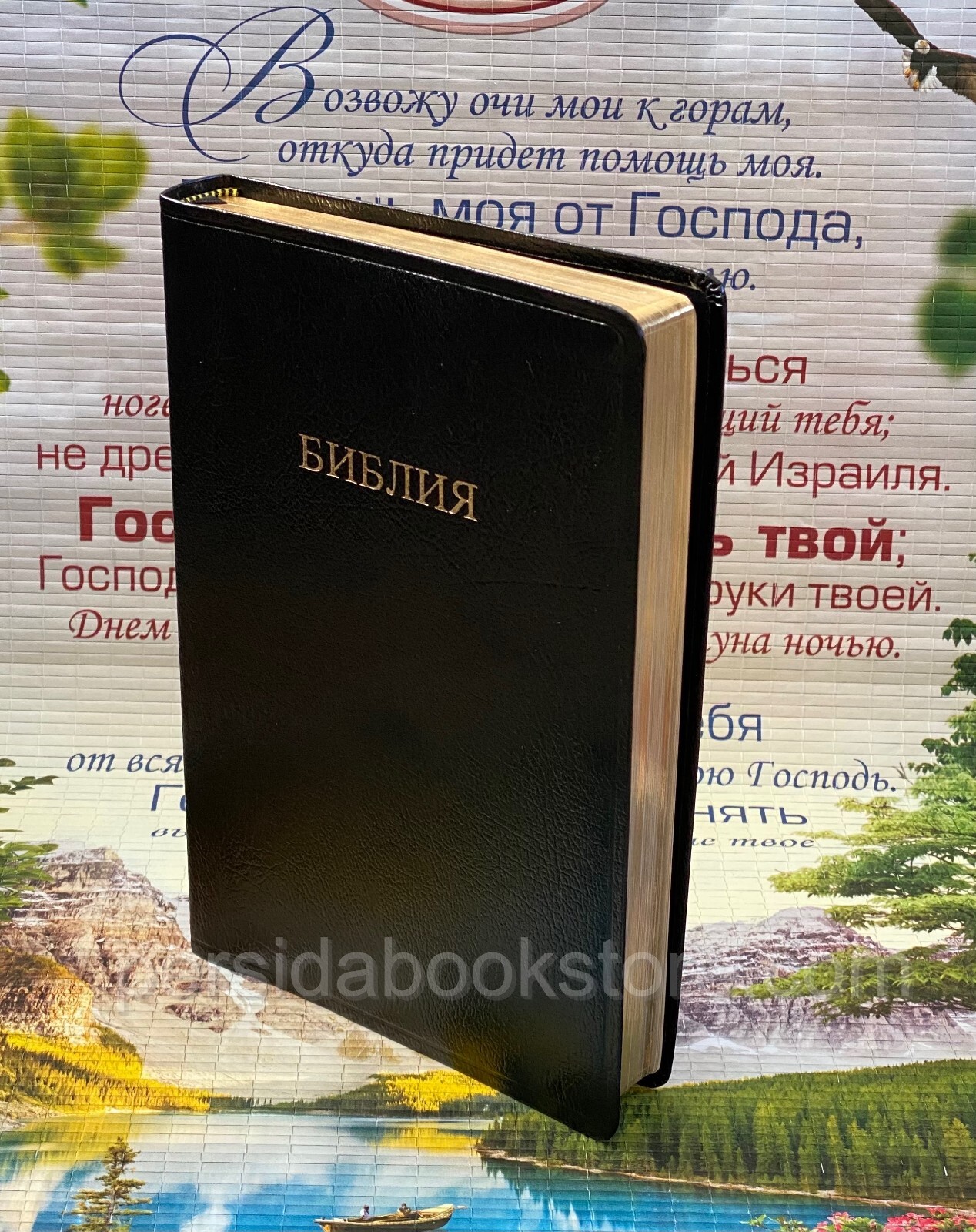 RUSSIAN BIBLE SCOFIELD Русская Библия с комментариями Скоуфилда