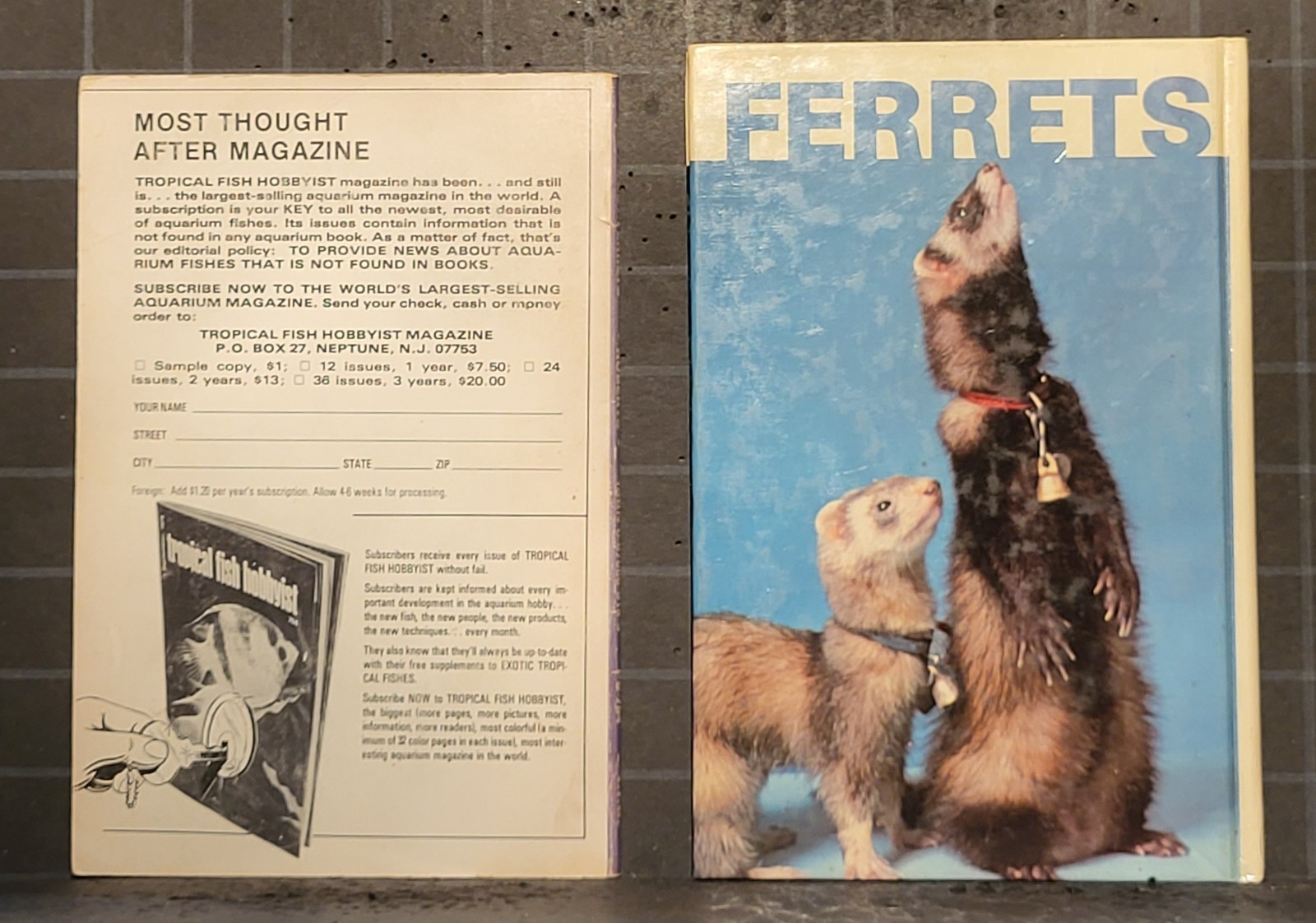 2 Books All About Ferrets Hardcover and Paperback 920