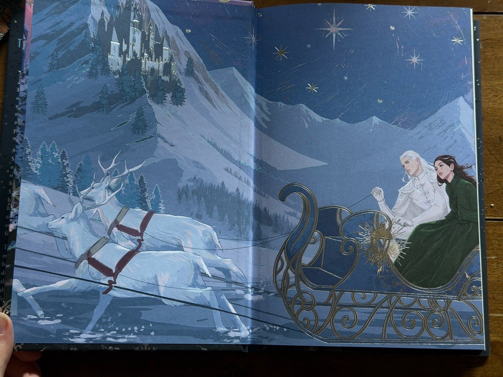 Fairyloot Exclusive Edition of The Sun And The Star maker By Rachel Griffin