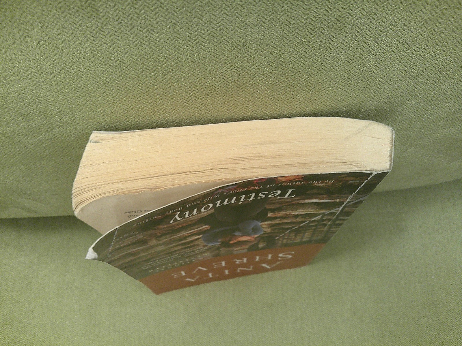 Testimony by Anita Shreve, 9780316067348, Paperback