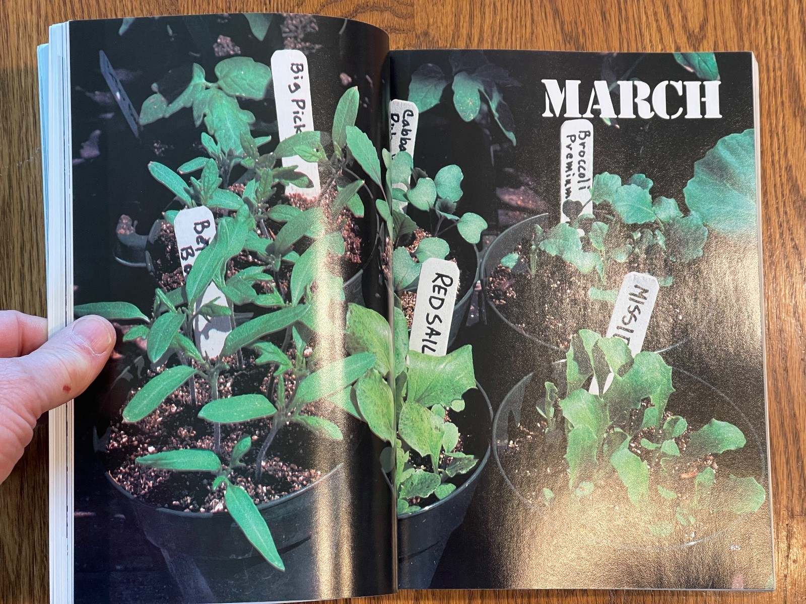 “The New Victory Garden” VTG Book by Bob Thomson, 1st Edition, 1987, 294 Pages
