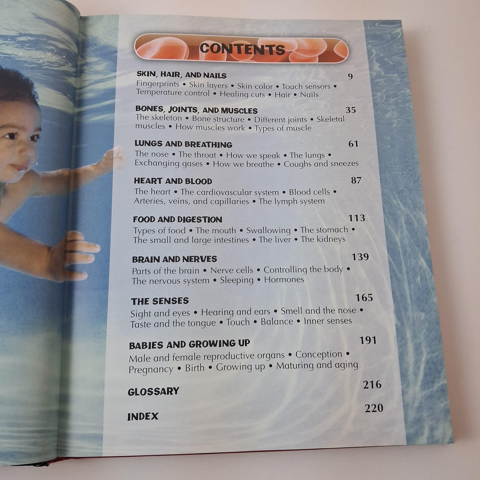 Children’s Human Body Encyclopedia Steve Parker Kids Science Book Hardcover