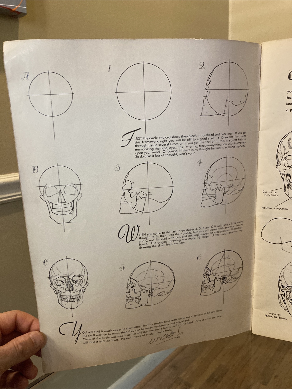 ANATOMY by Walter T Foster VINTAGE Paperback Drawing Book, Large Size QUICK SHIP