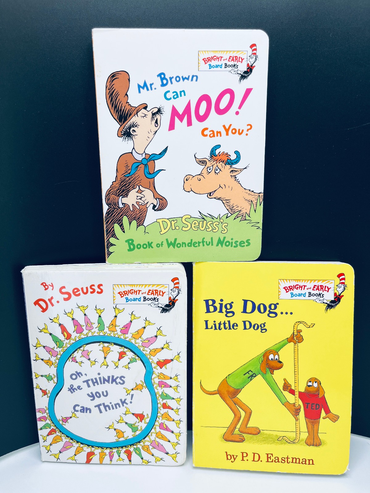 Lot of 10 Children’s Baby Toddler Board Picture Books Kids Daycare Family VIDEO
