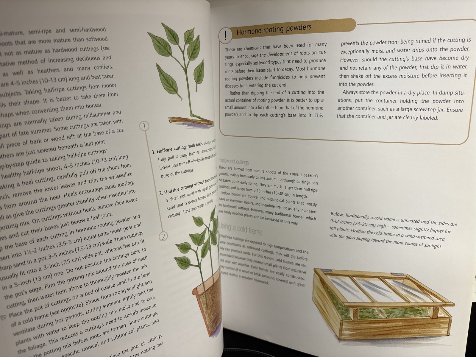 Successful Bonsai, By David Squire
