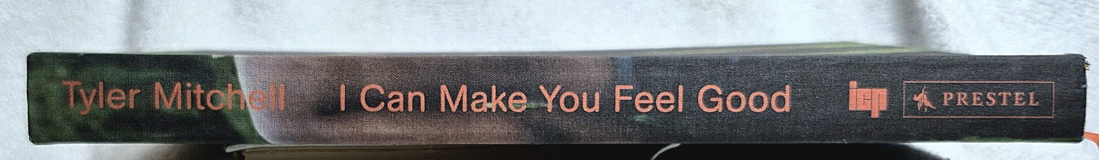 Tyler Mitchell • I Can Make You Feel Good (2020 • Flexibound Softcover) VG