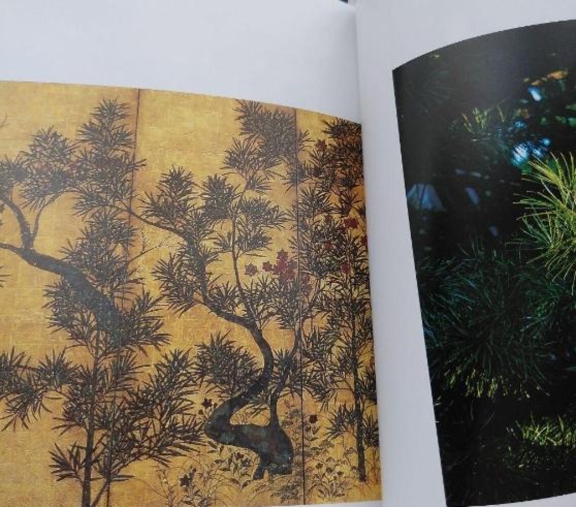Toshiro Kawase – “God’s Tree: Go/Visit” Japanese sacred tree art