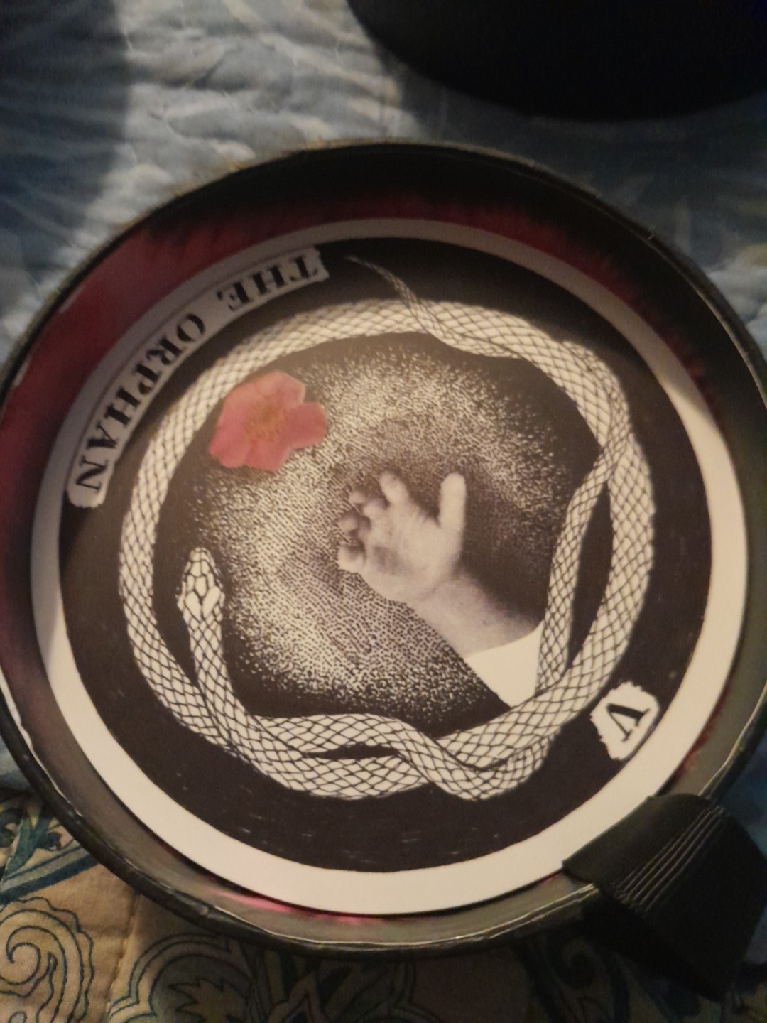 The Wild Unknown Archetypes Kim Krans In Round Black Box Good Preowned Condition