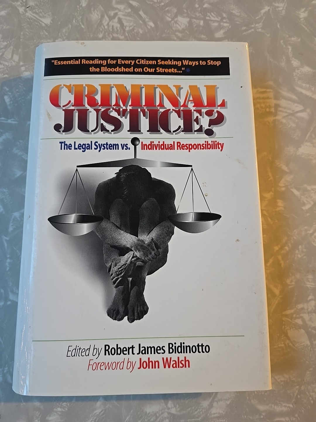 Criminal Justice: The Legal System Versus Individual Responsibility