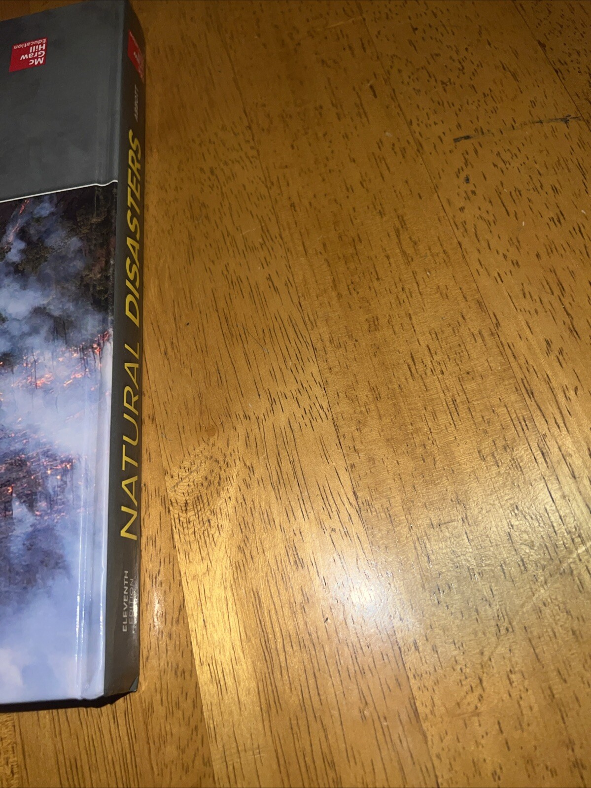 Natural Disasters by Patrick L. Abbott (2019, Hardcover)
