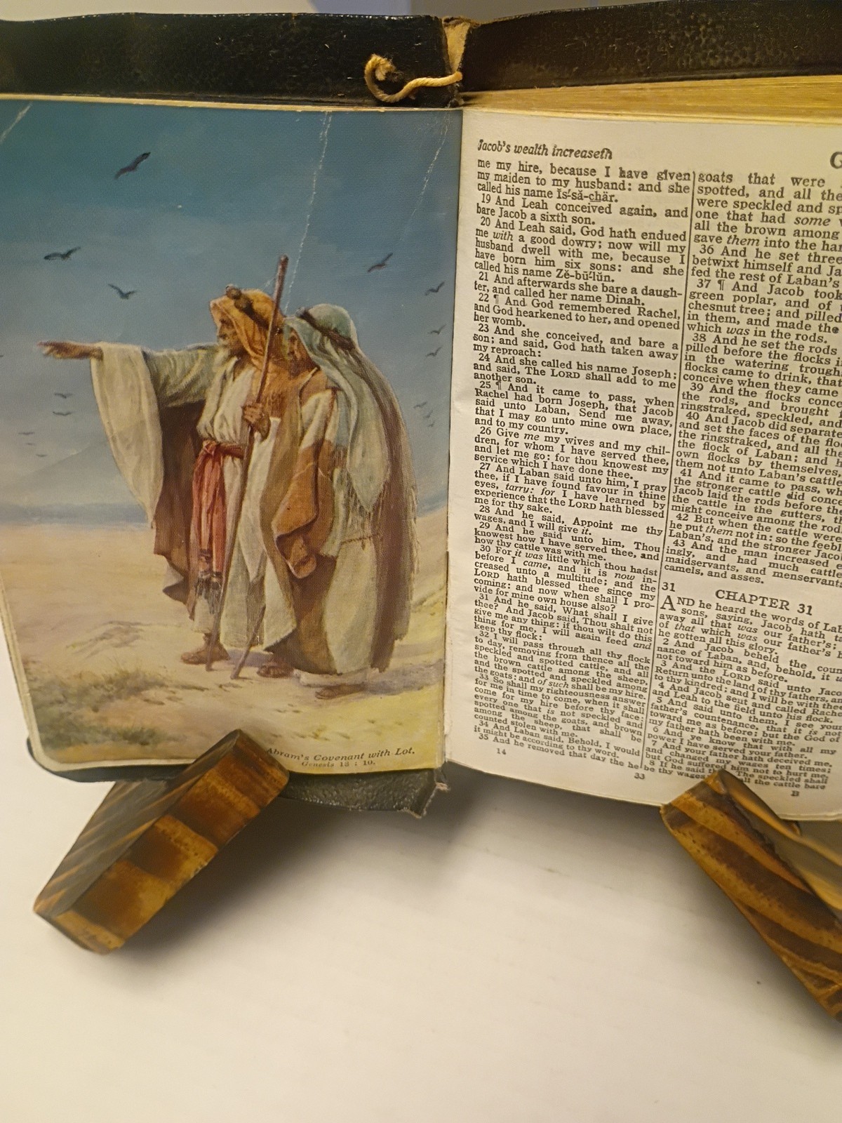 COLLINS Holy Bible- Illustrated -Vintage Black – Pocket Size