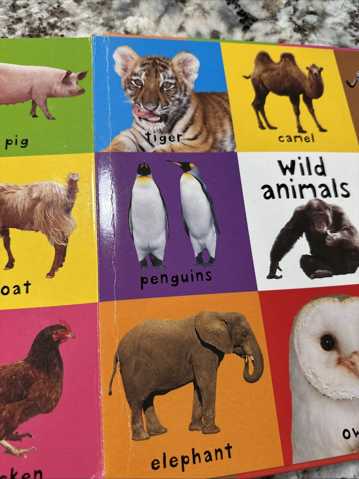Big Board First 100 Words : An Essential First-Learning Book by Roger Priddy…