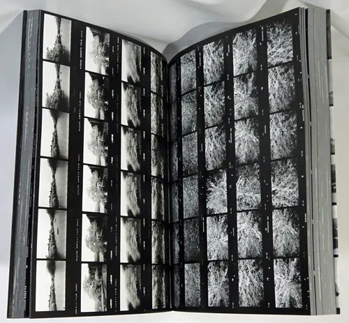 Daido Moriyama Labyrinth Photography Book Aperture 2012 English 304p fom japan