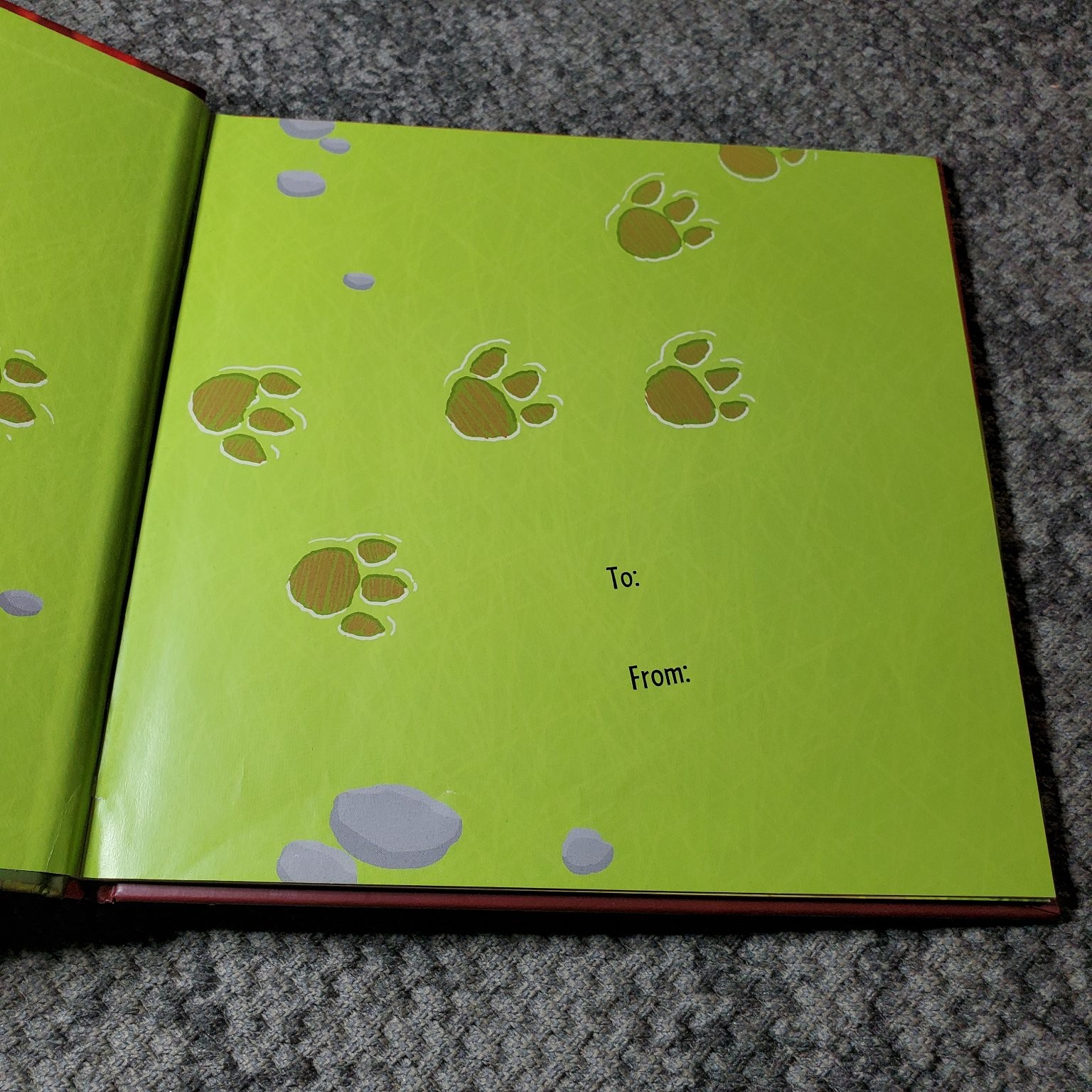 How to Catch a Dinosaur Adam Wallace 2018 Illustrated Kids Book Hardcover