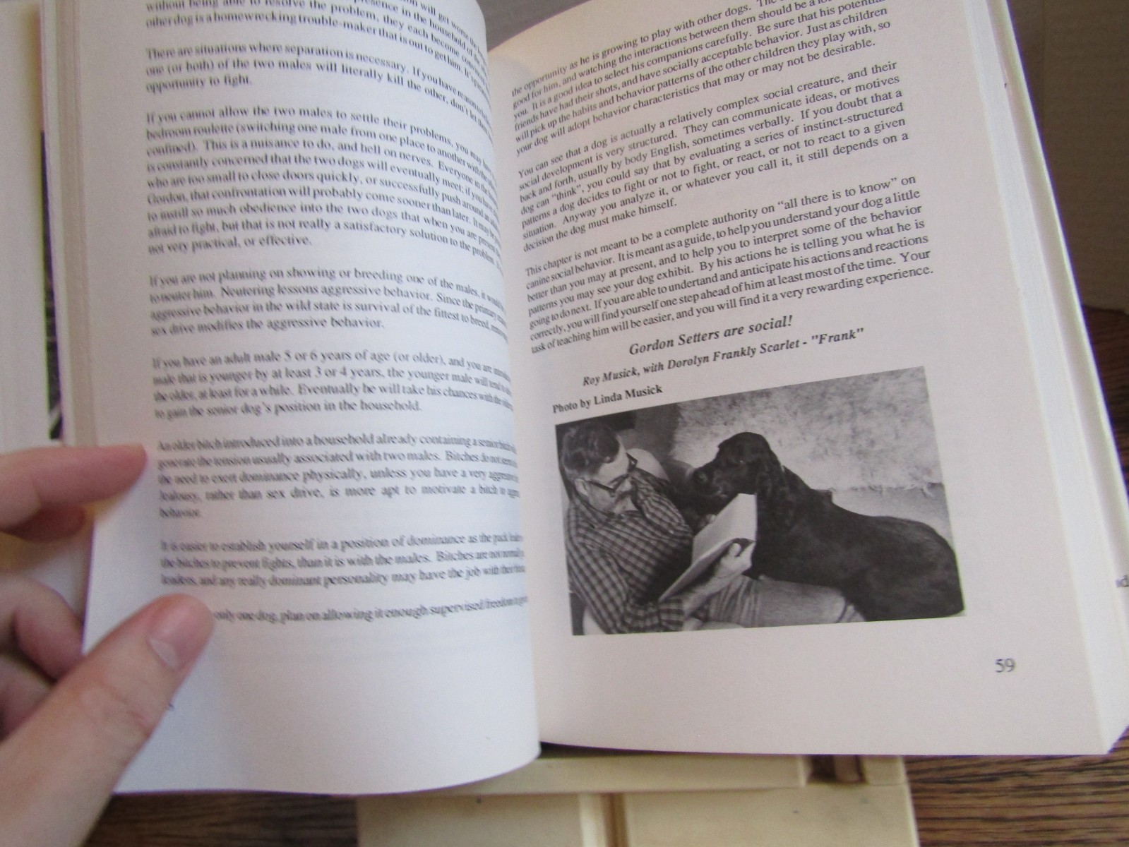 Field Gordon Setter HBDJ 1987 by Sorby 1st ed photos 366 pages VG dog care