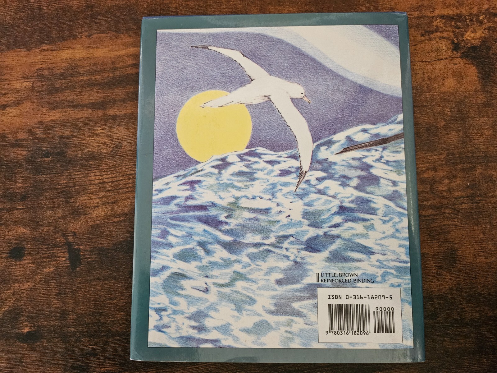 The Wandering Albatross Birds of Antarctica Jennifer Dewey Nature Book