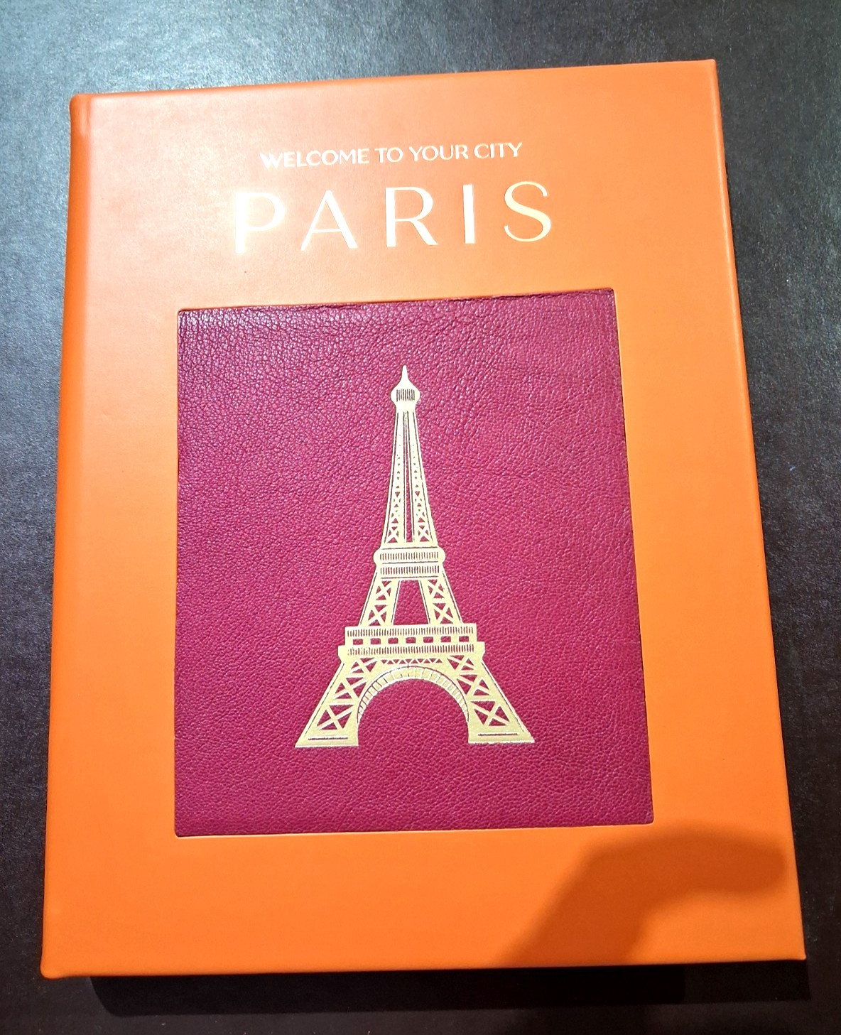 Trope PARIS Scott Yanzy Photography Leather Bound Hard Cover $195 Coffee Table