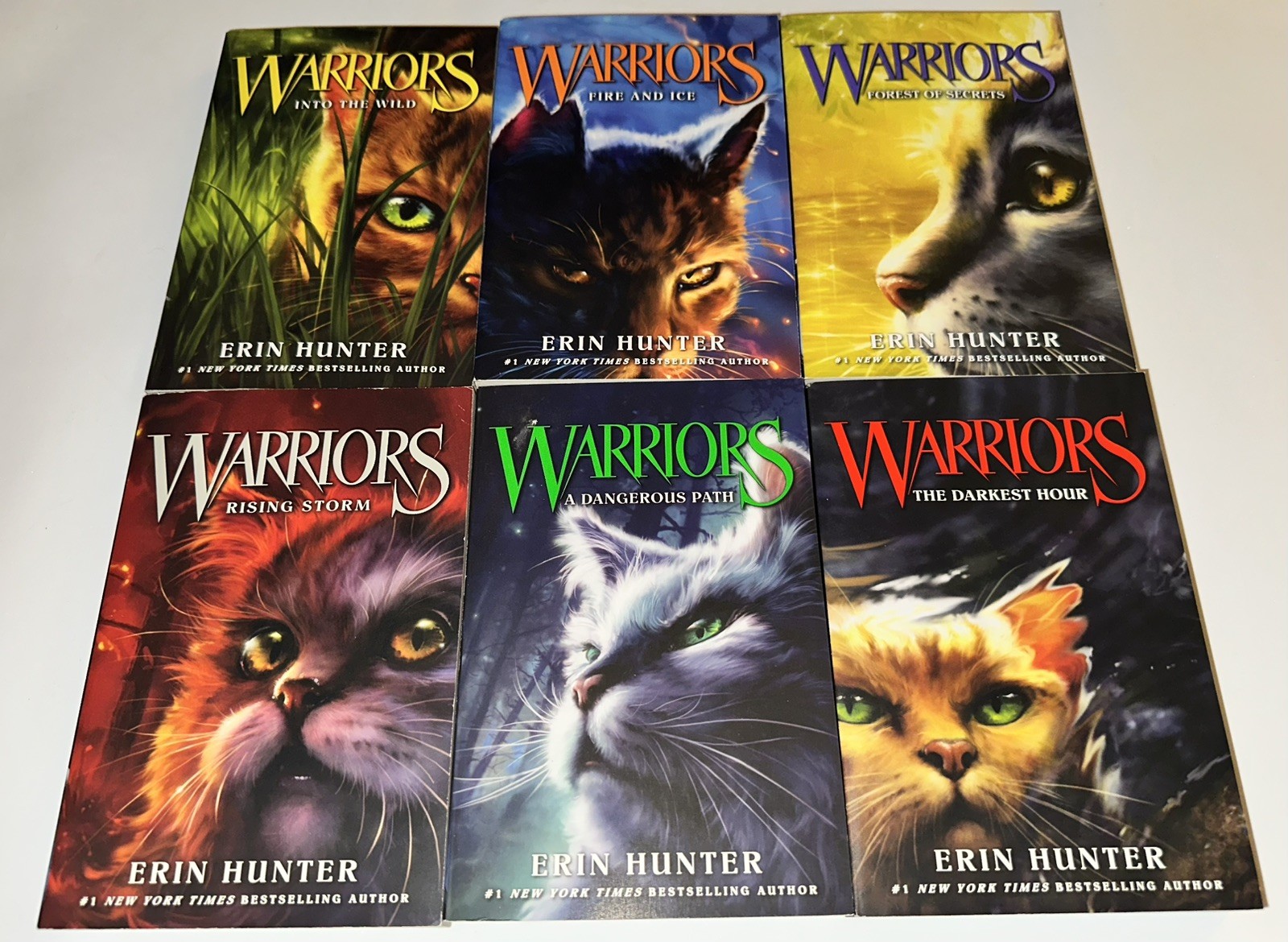Warriors: The Prophecies Begin by Erin Hunter – First Series Books 1-6 Paperback