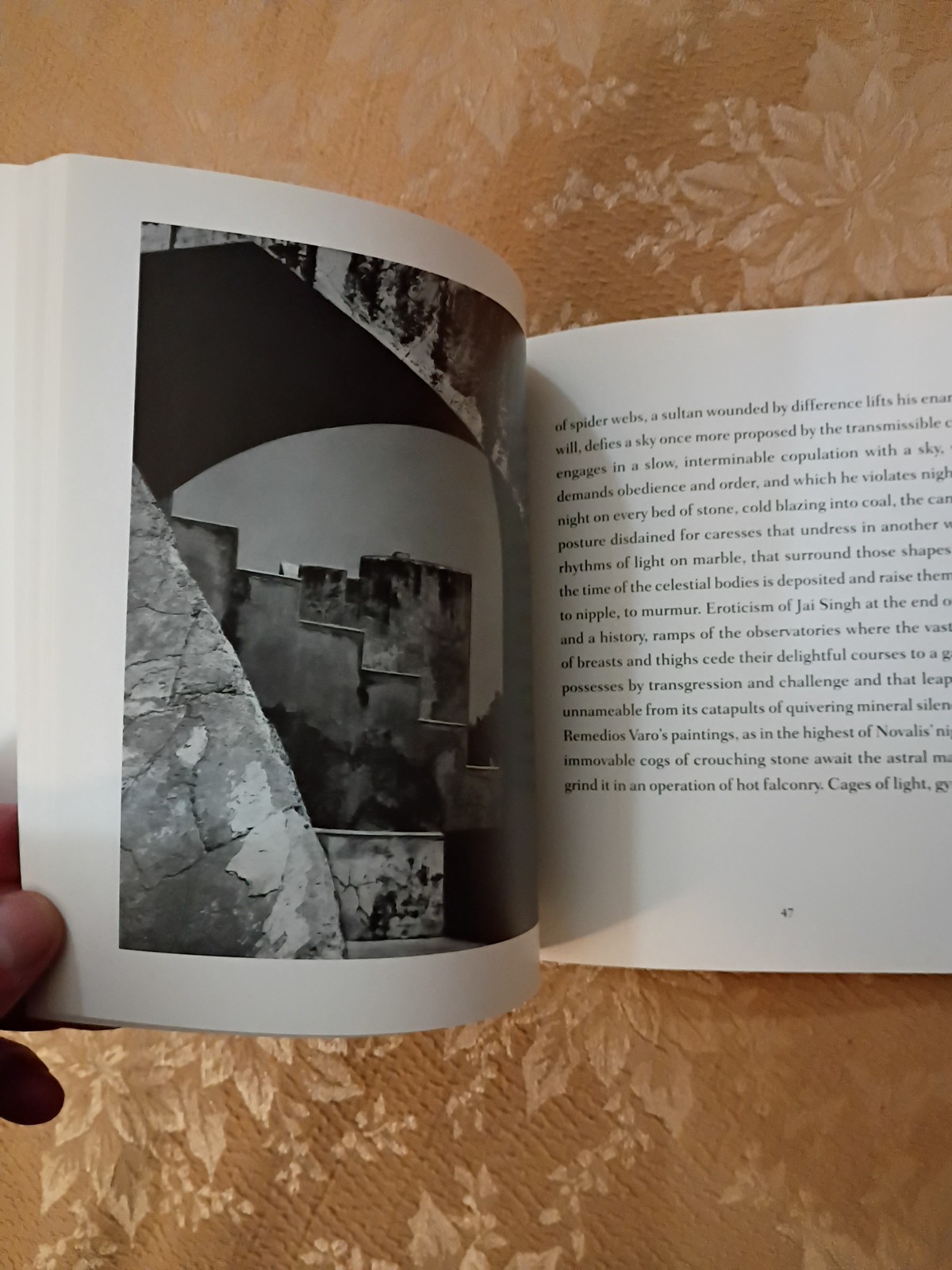 2011 From the Observatory Julio Cortázar 1st Archipelago Books Edition Paperback