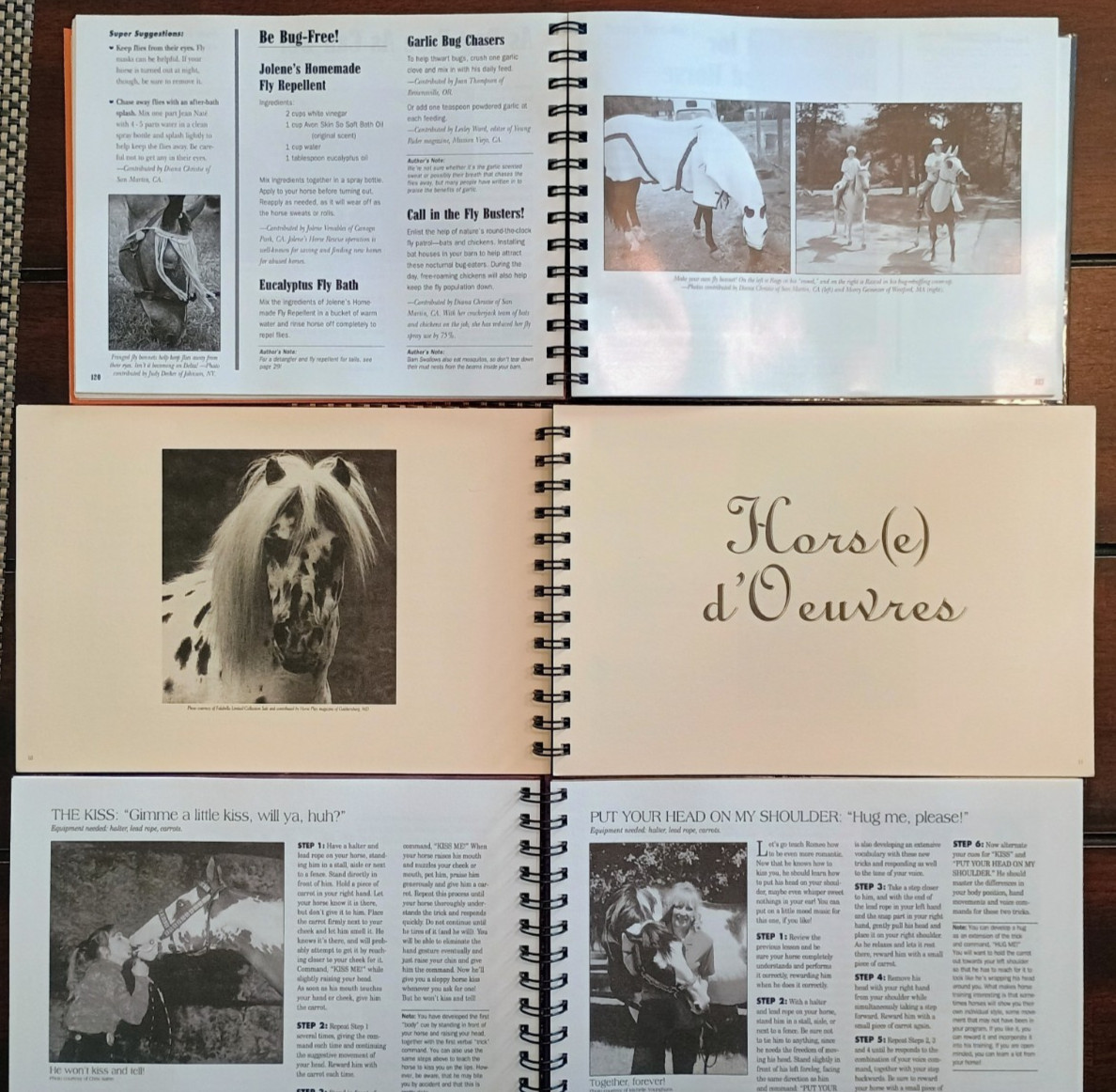 🐎 Lot of 3 Horse Hollow Press Spiral Bound books ~ Treats, Tricks & Pampering✨