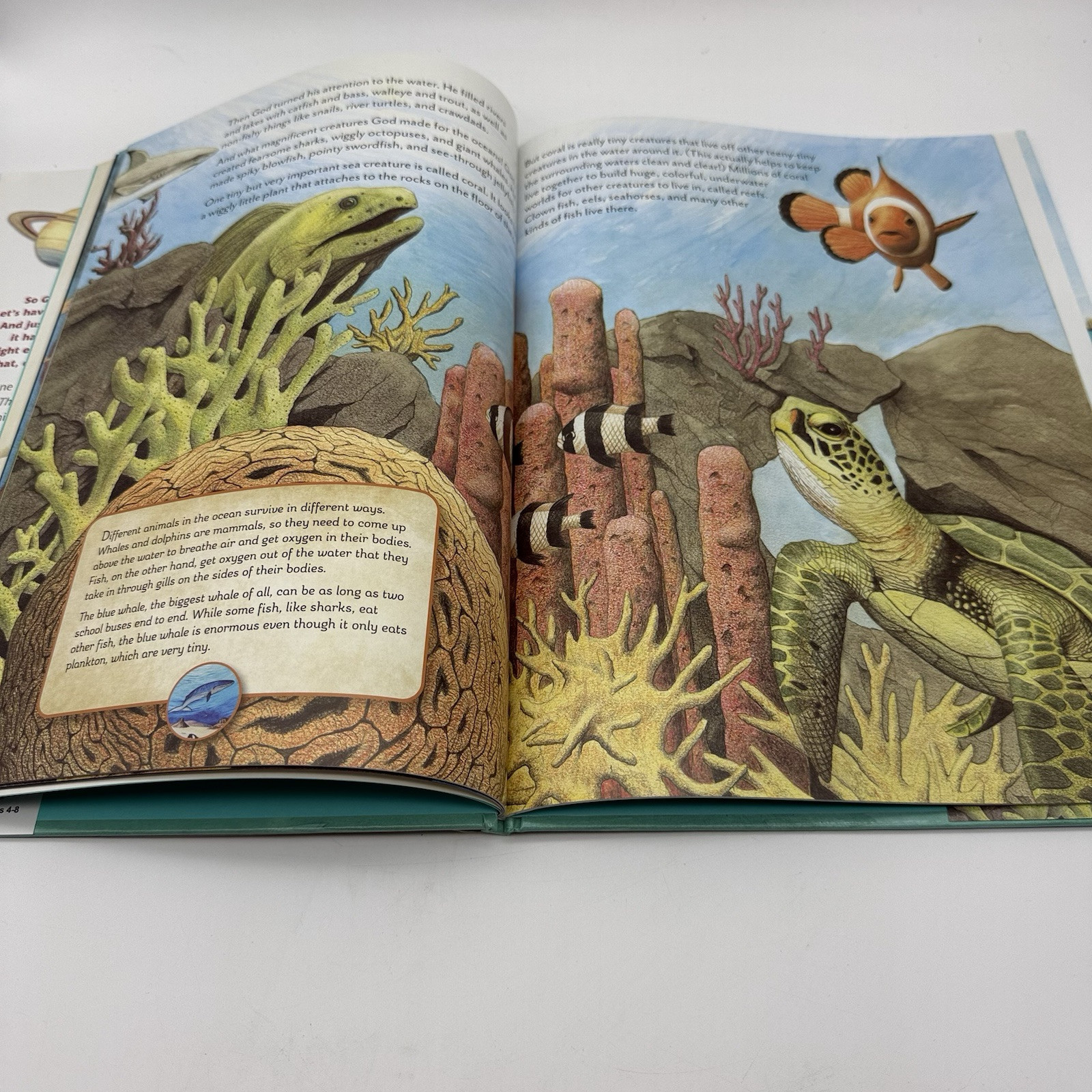 The Things God Made: Explore God’s Creation through the Bible, Science, and Art