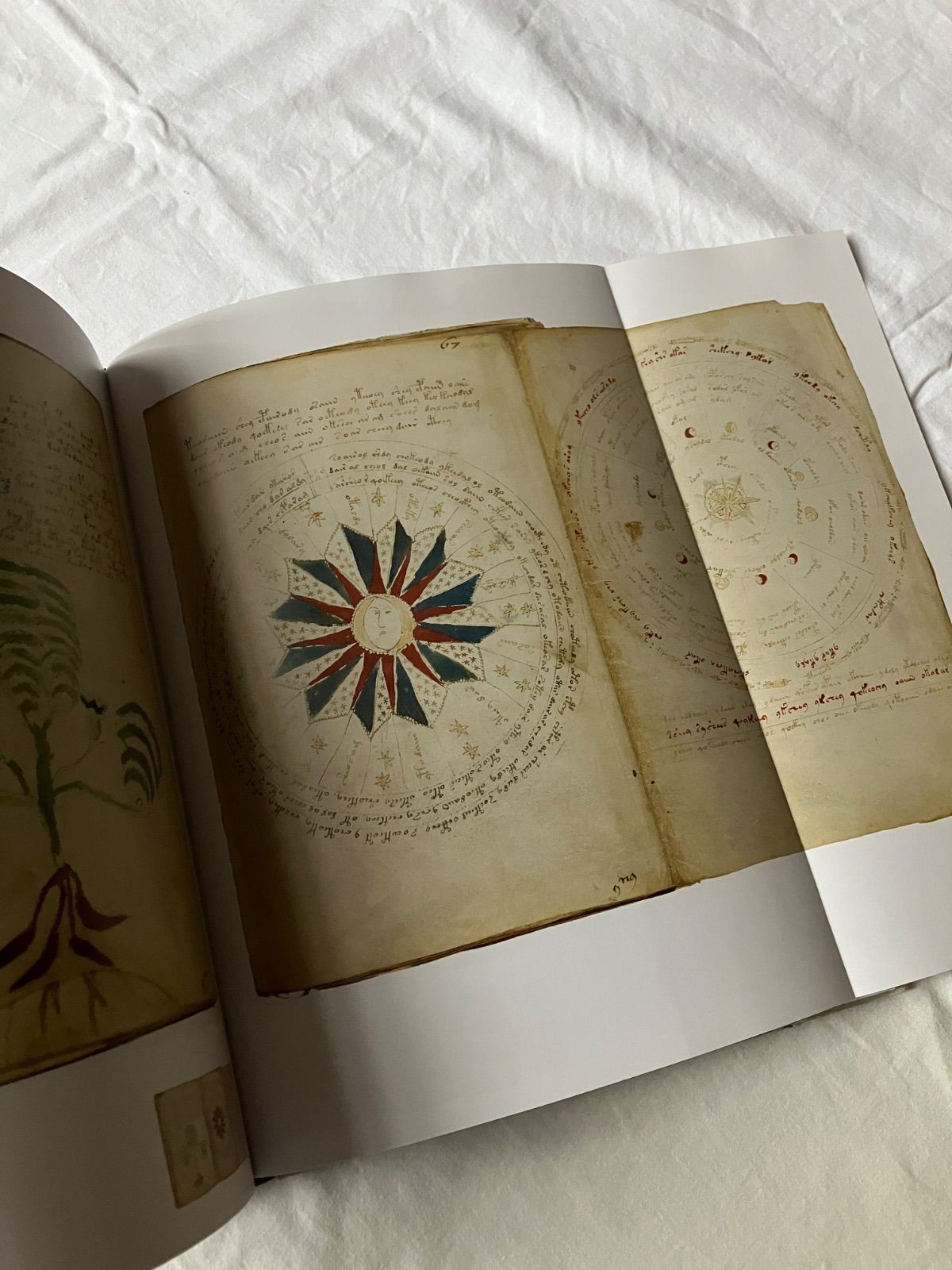 Voynich Manuscript Facsimile 1912 Yale Univ Press 31x24cm Used