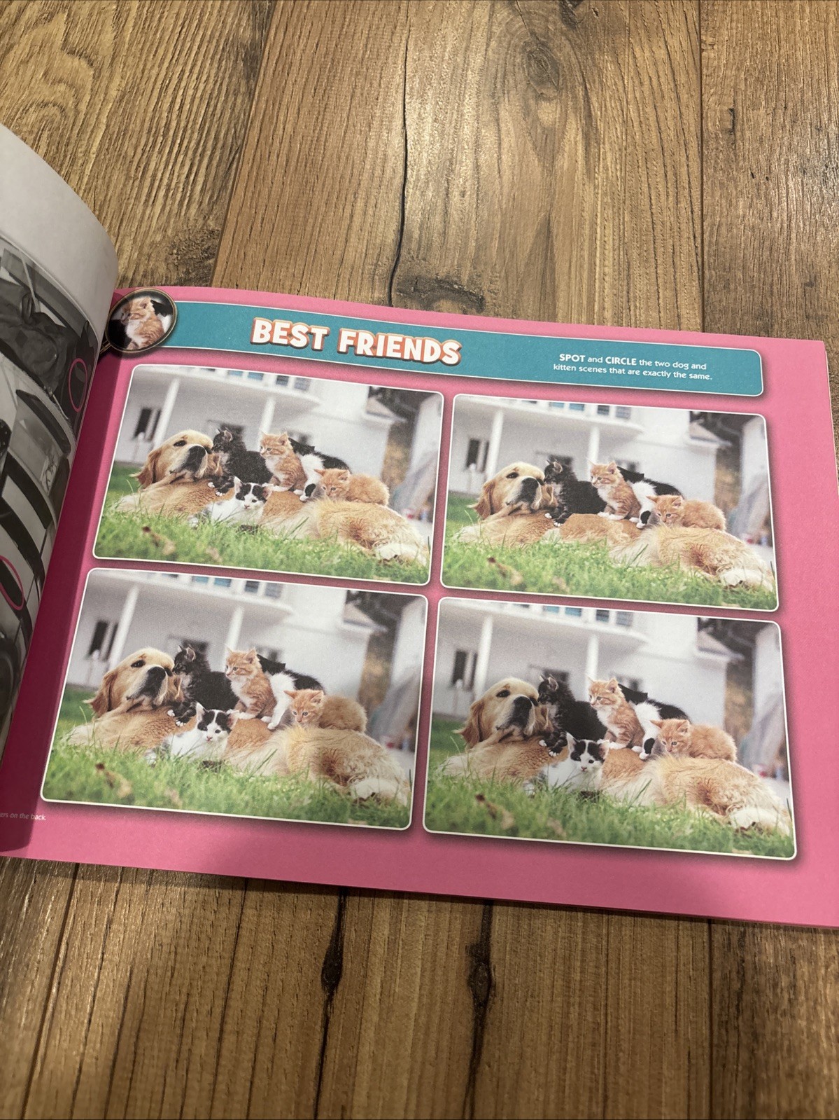 Lot Of 3 Kids Activity Books; Ultimate Activities, Picture Hunt, Spot The Diff