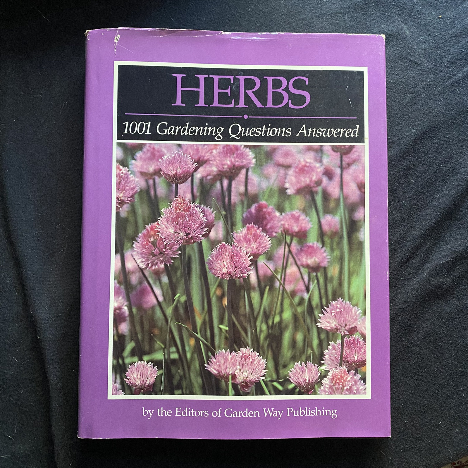 Herbs 1001 Gardening Questions Answered by Garden Way (Hardcover)