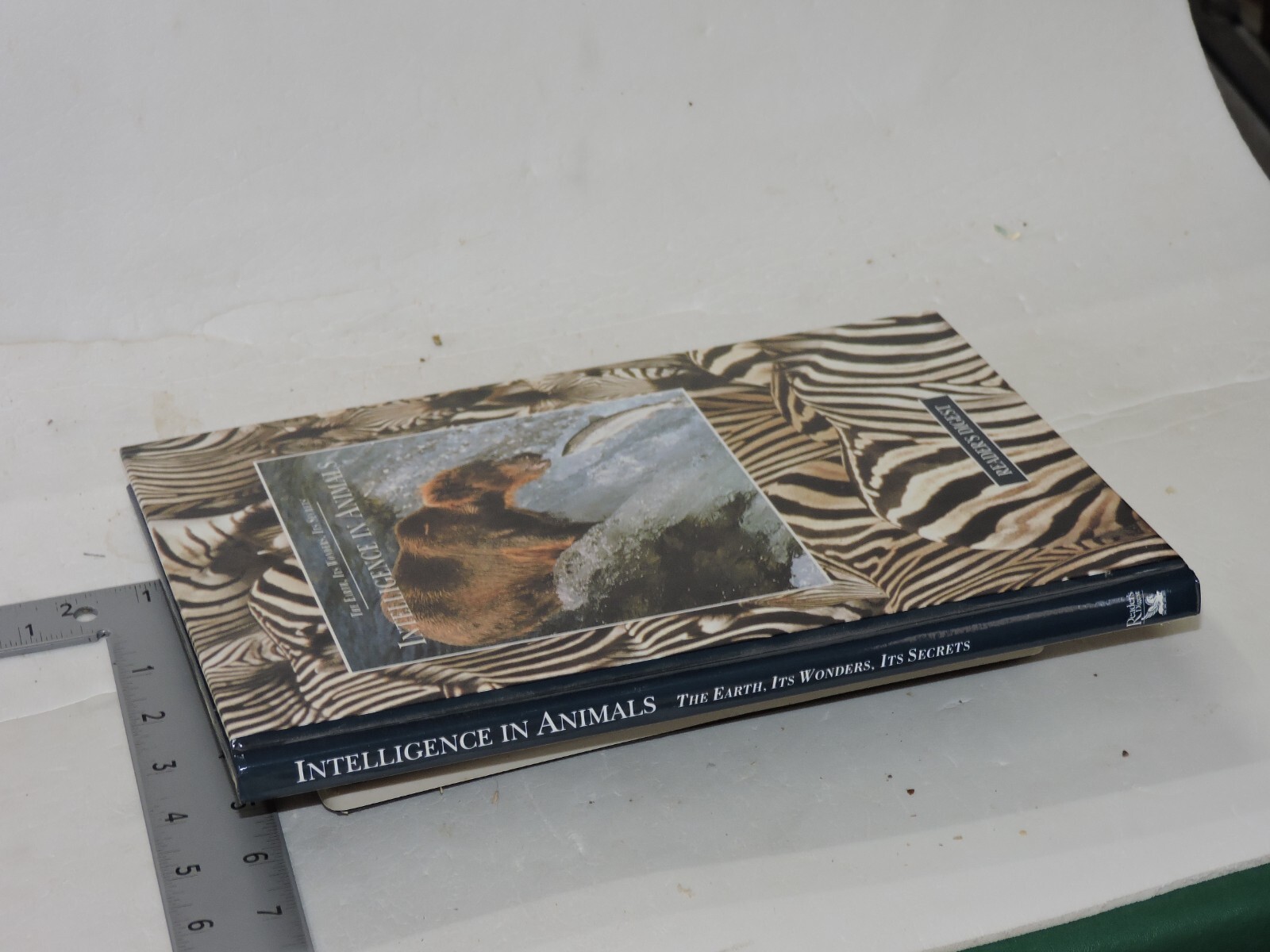 Secret Life of Animals by Reader’s Digest Editors (1998, Hardcover)