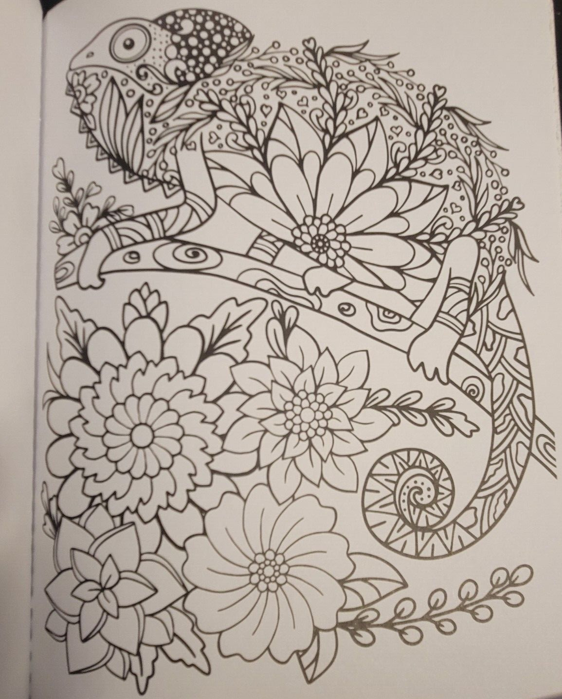 COLOR ME MAGNIFICENT Vol 12 Adult Coloring Book With 47 Prints Ready To Frame