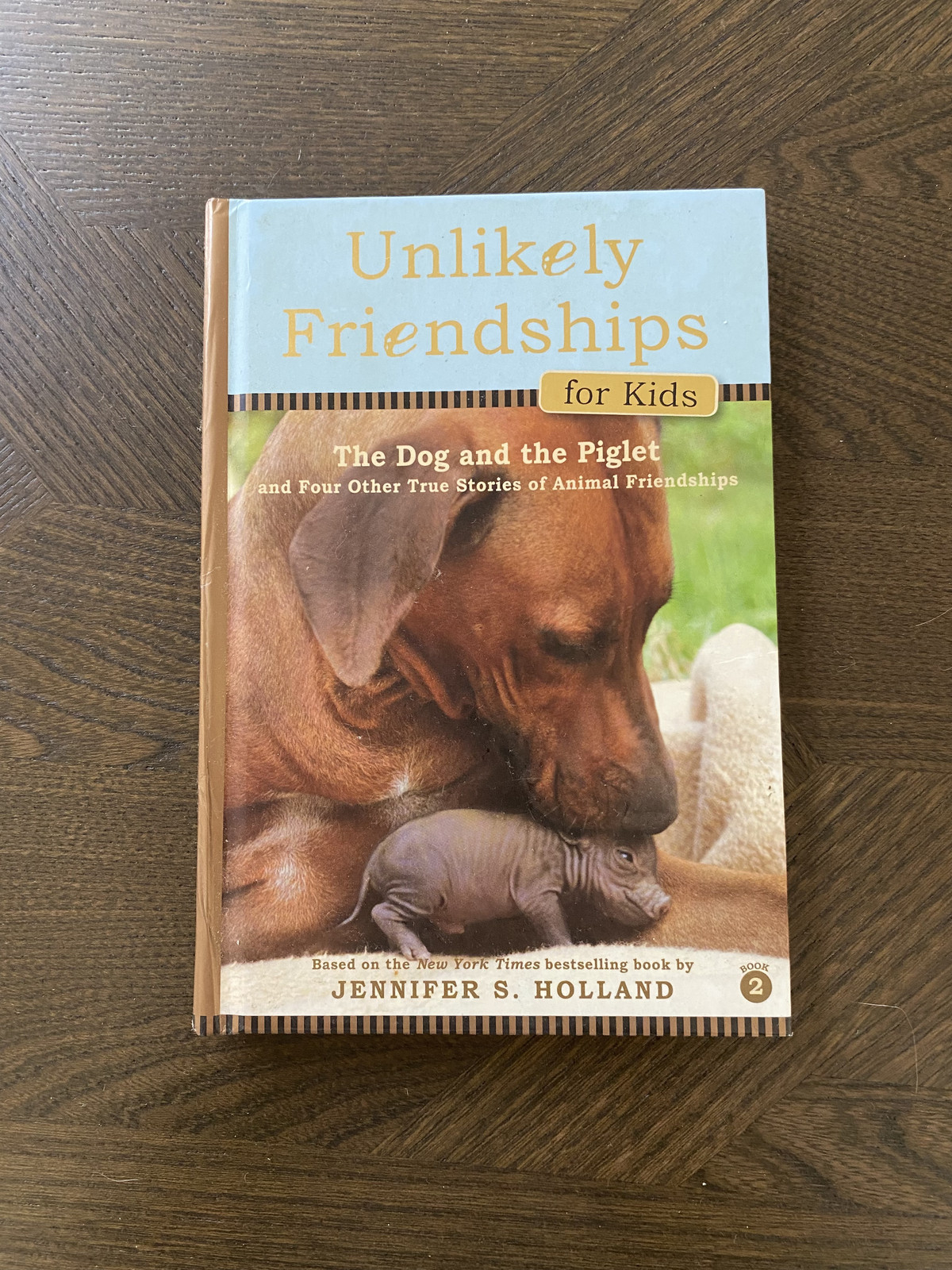 Unlikely Friendships for Kids: – Hardcover, by Holland Jennifer S.