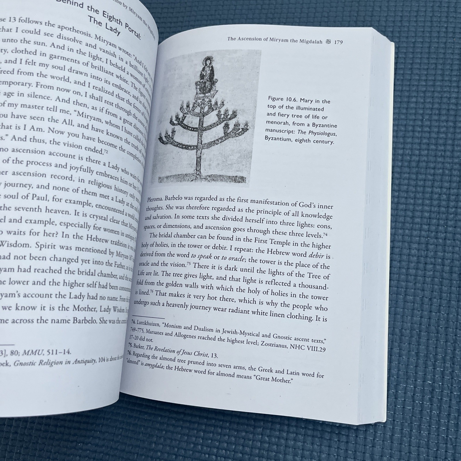 Magdalene’s Ascension : Mary’s Journey to Becoming Light by Annine van der Meer