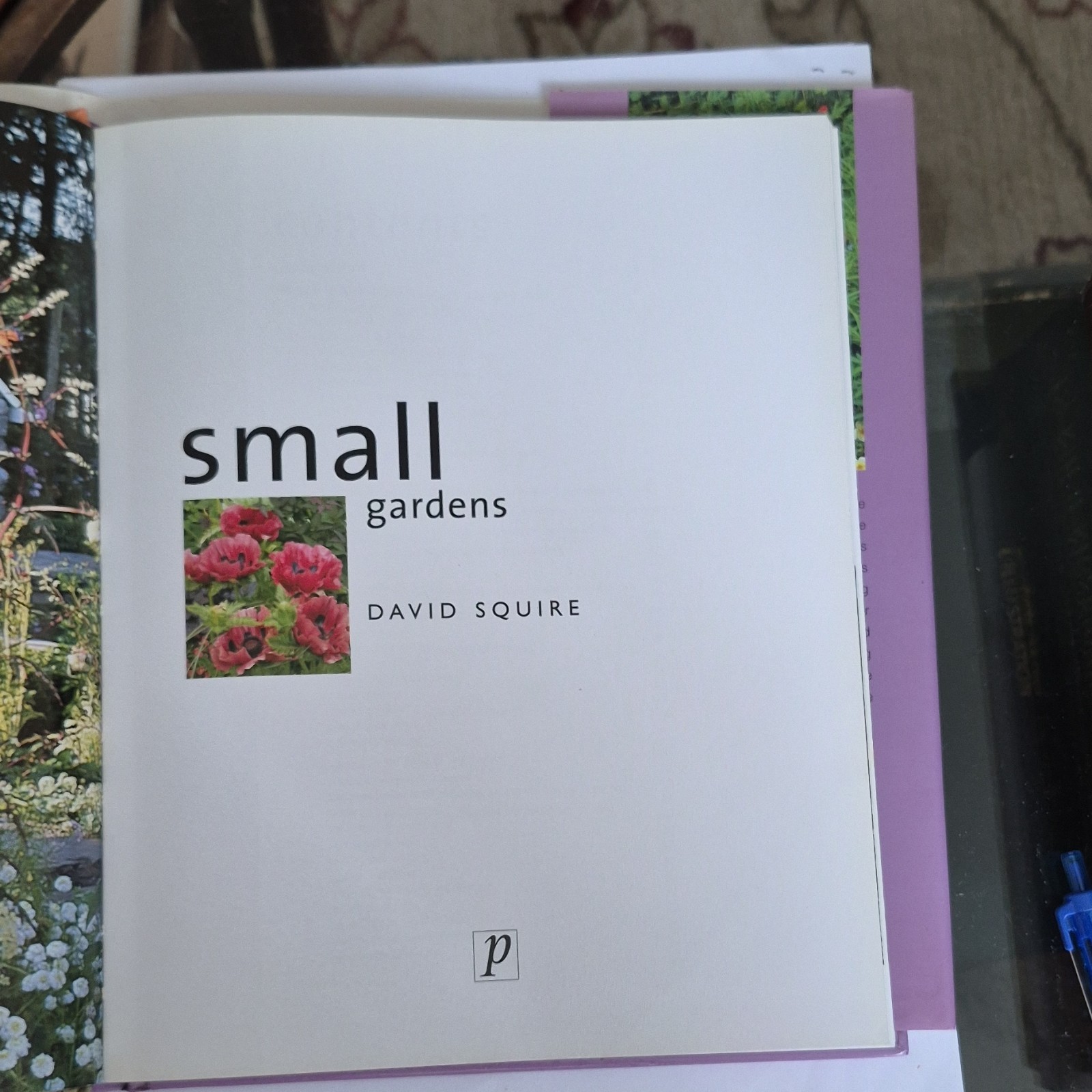 David Squire Small Gardens Hardcover 2002 Parragon Publishing Illustrated