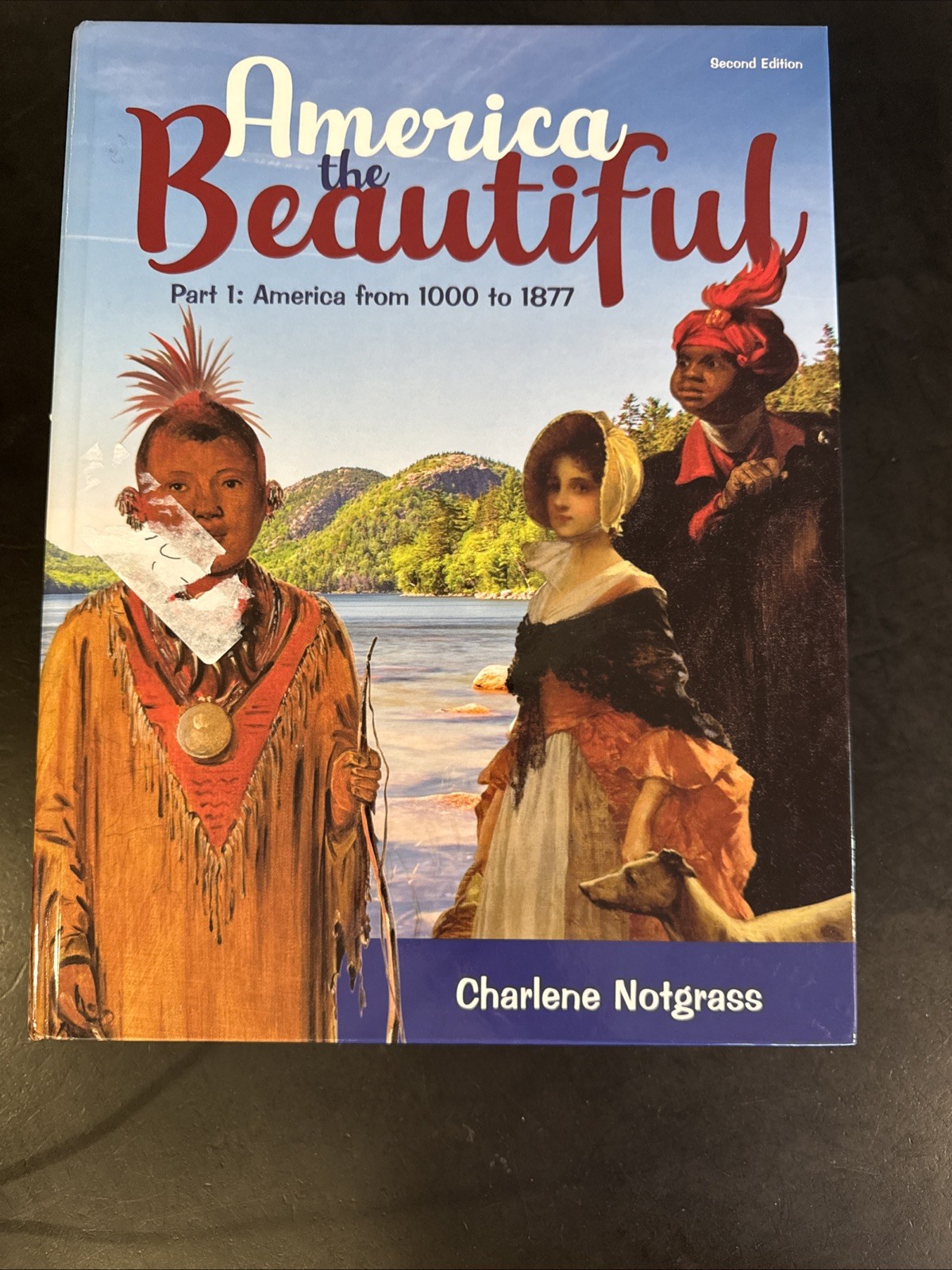 Notgrass America the Beautiful Curriculum Package 2nd Edition NEW