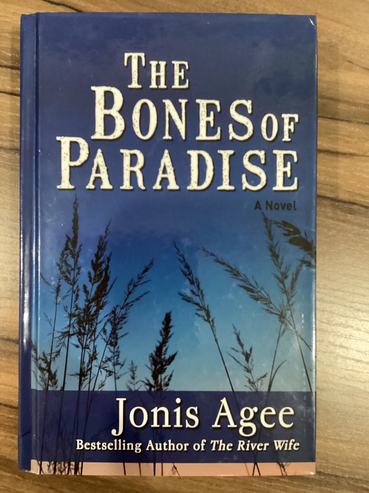 Large Print – Various Authors – You Choose – List A-E (Last Name)