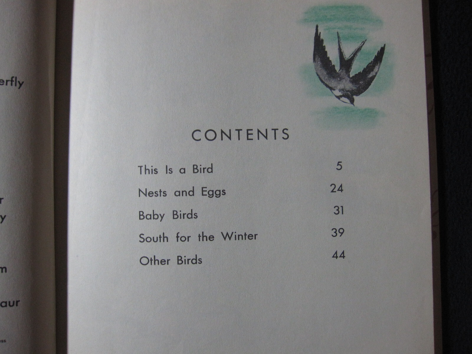 What is a Bird (The What is it series) Darby, Gene