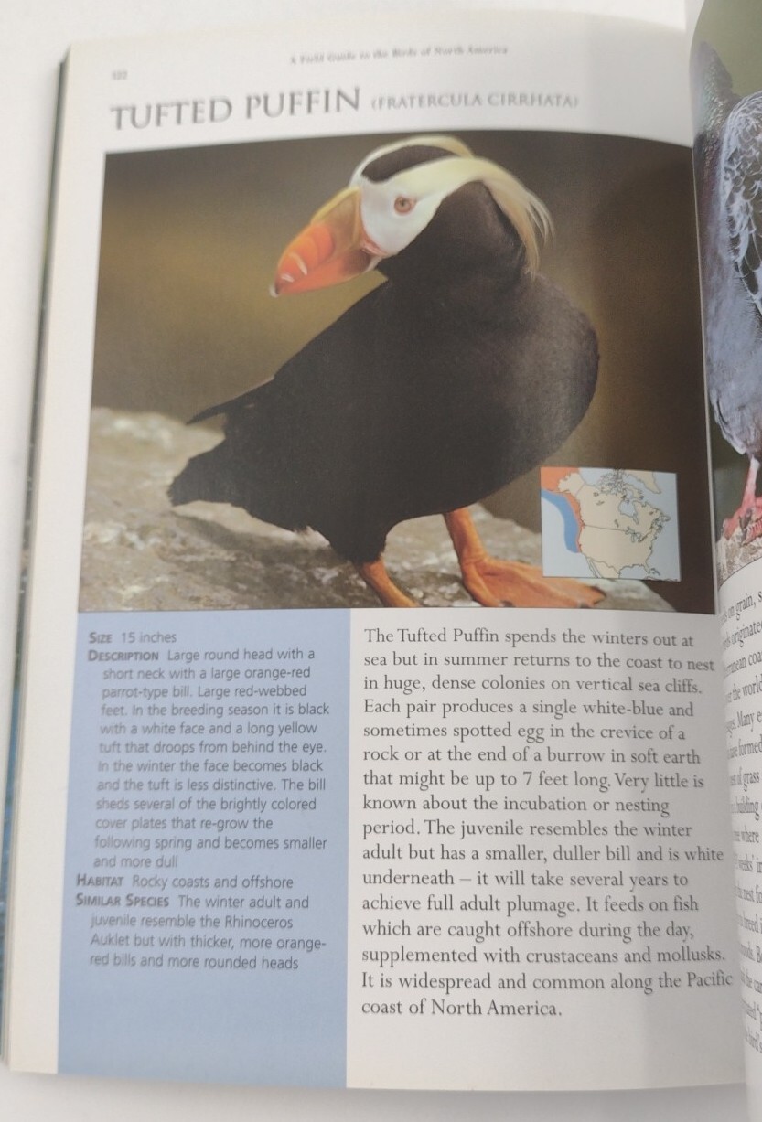 A Field Guide To The Birds Of North America Paperback 255 Pages Copyright 2007